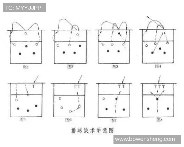 西安排球队的战术解析与整体压制策略深度剖析