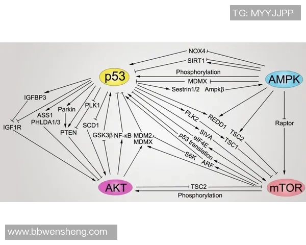 黄娜独家分享网球心得与技巧助你提升球技的秘密之道