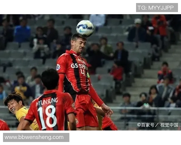 南京排球队耐力表现创新高引发关注全队士气高涨